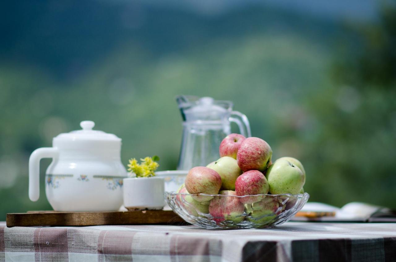 Happy Dervish Boutique Homestay Mukteshwar Extérieur photo